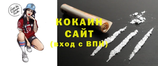 соль ск Абаза