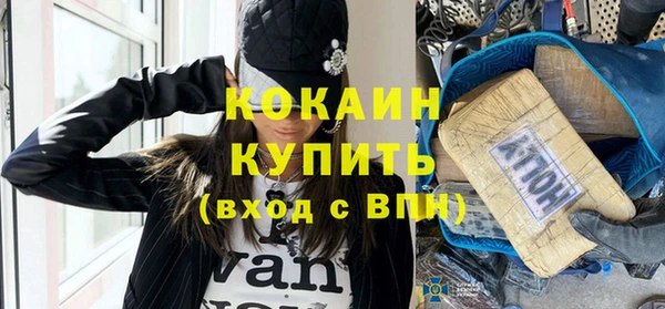 прущие грибы Медвежьегорск