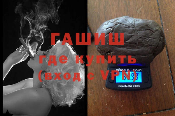 шишки Медногорск