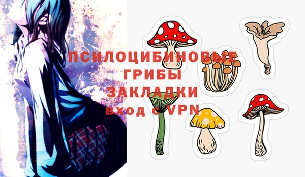 ешки Мегион