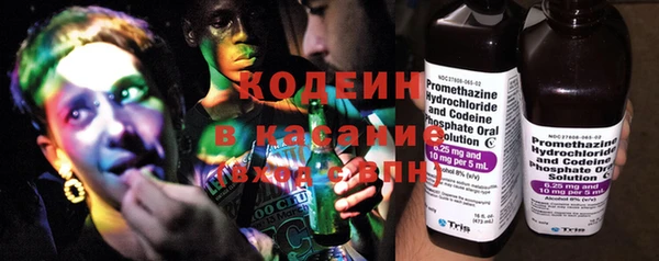шишки Медногорск