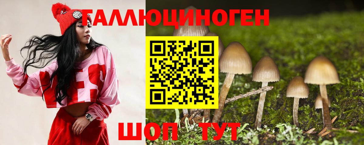 Химки  наркотики  Вход с VPN  Псилоцибиновые грибы Magic Shrooms 